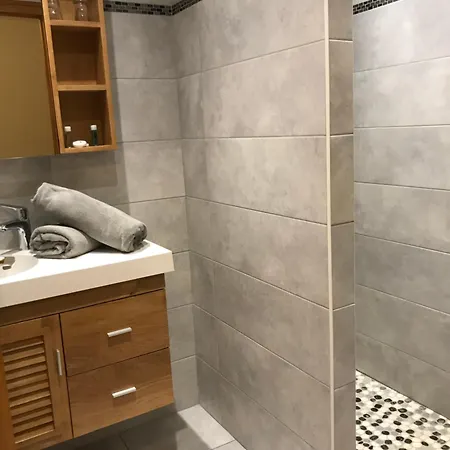 ホテル Au Bois De Lune シャテル