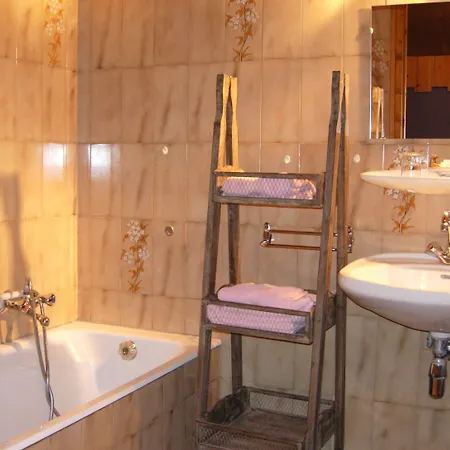 Au Bois De Lune 3* シャテル