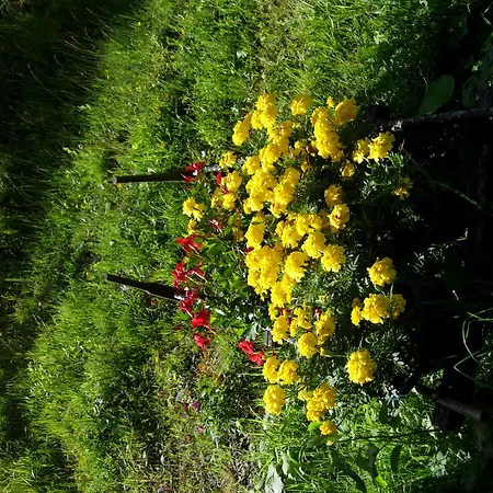 ホテル Au Bois De Lune 3*