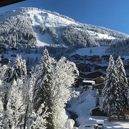 Hotel Au Bois De Lune Châtel