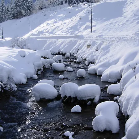 Au Bois De Lune Hotel Châtel